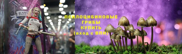 apvp Горно-Алтайск