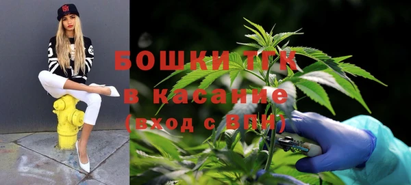 сатива Сосновка