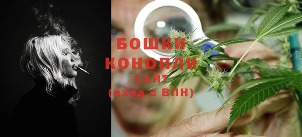 ПСИЛОЦИБИНОВЫЕ ГРИБЫ Горняк