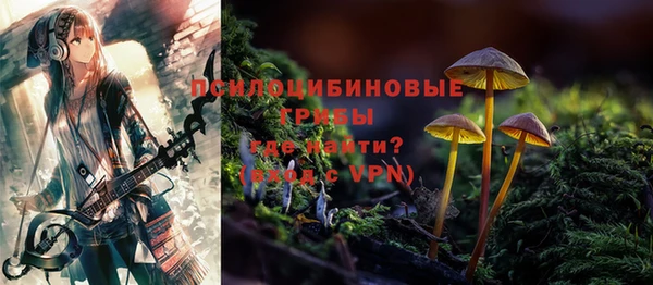 герыч Горнозаводск