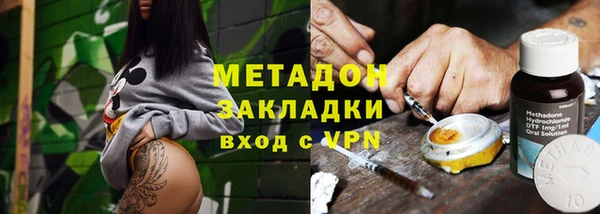 ПСИЛОЦИБИНОВЫЕ ГРИБЫ Горняк